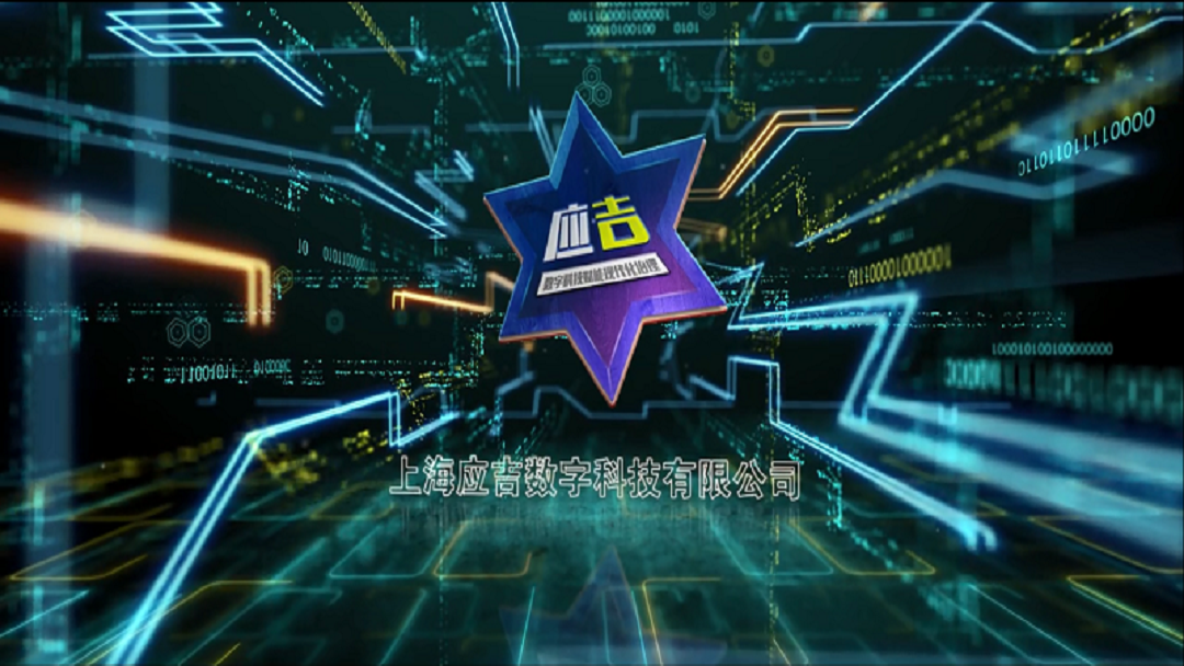 上海4166金沙登录数字科技有限公司 简介视频